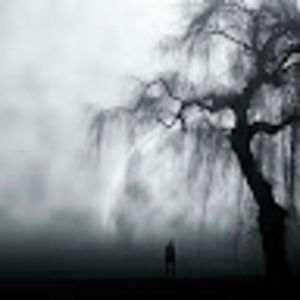 Meet your Posher, Tori